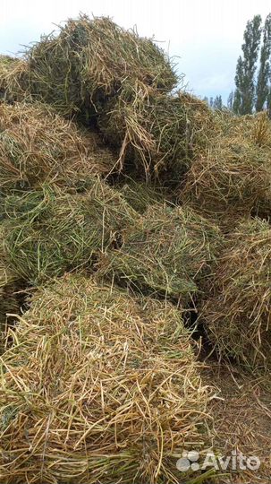 Сено солома в тюках