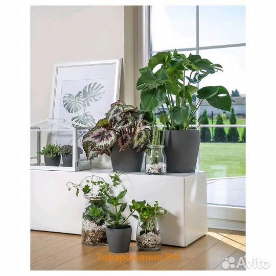 Кашпо Икея Персилладе IKEA Persillade