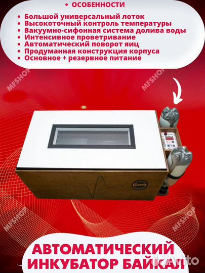 Инкубатор автоматический для яиц блиц Байкал 72