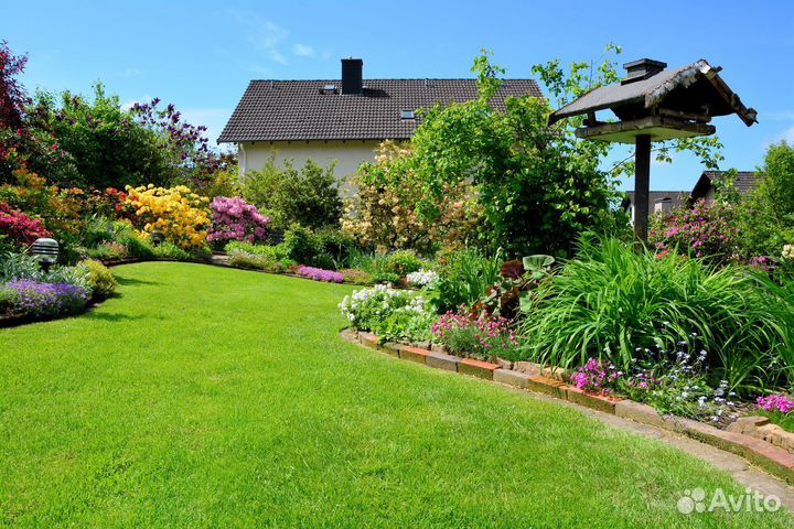 Рулонный газон - производство,доставка,укладка