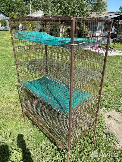 Клетка для цыплят, перепелов