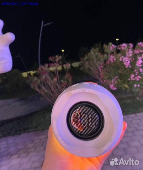 Колонка JBL Pulse 4 (Арт.41993)