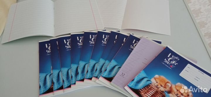 Тетради школьные в косую линию,12 л