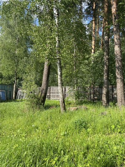 Участок 13,2 сот. (СНТ, ДНП)