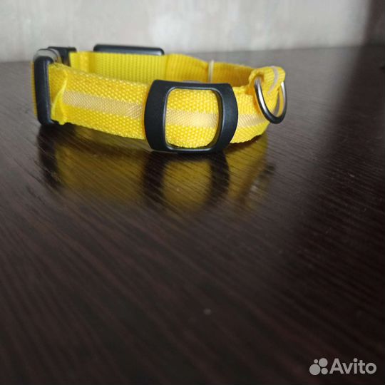 Ошейник светящийся