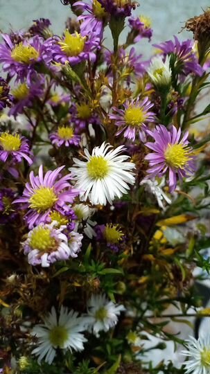 Дом 110 м² на участке 15 сот.