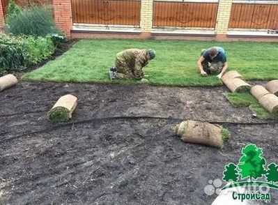 Газон рулонный