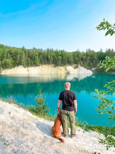 Кинолог. Дрессировка и воспитание собак