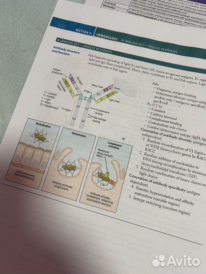 First Aid for usmle 2024 Step 1, Step 2, Step 3