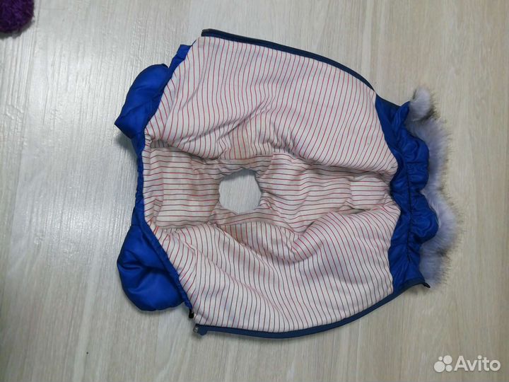 Одежда для маленьких пород собак