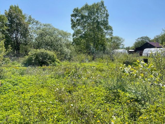 Участок 12,5 сот. (СНТ, ДНП)