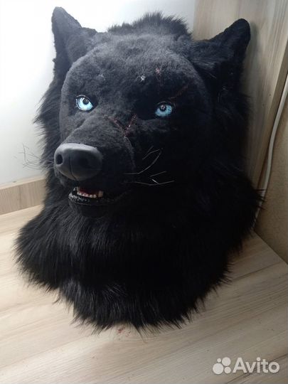 Фурсьют волка