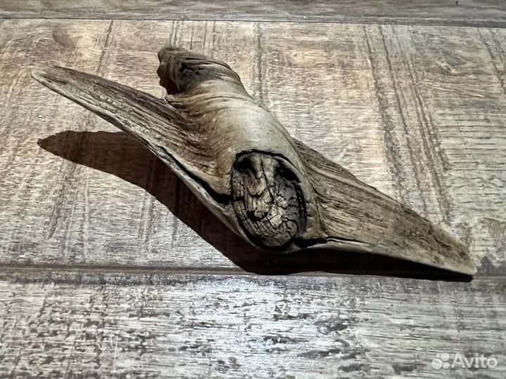 Дар природы