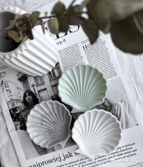Ракушка из гипса