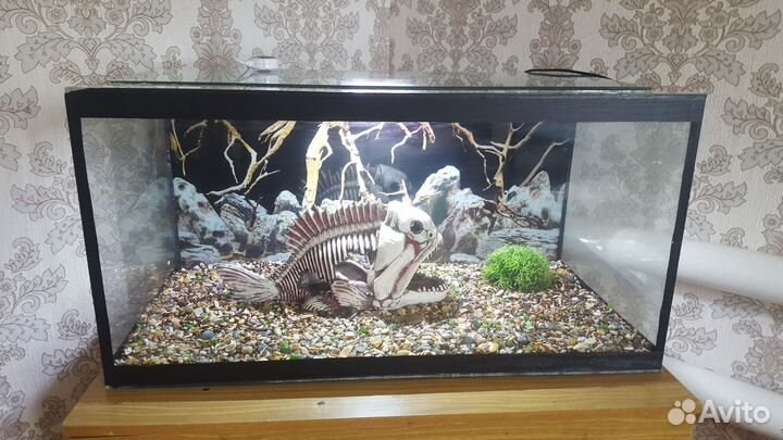 Аквариум