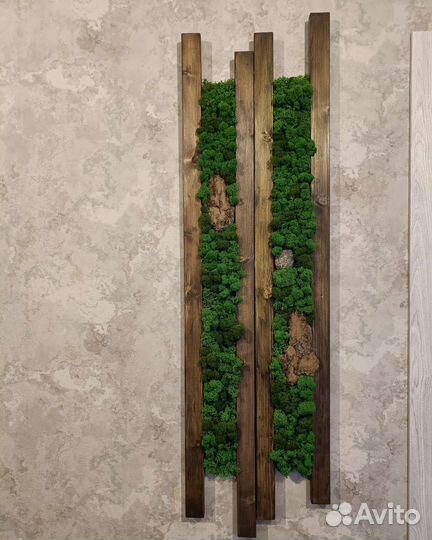 Фитопанно (панно из мха)