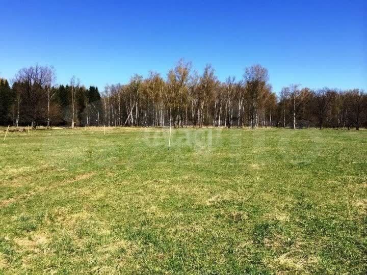 Участок 21,5 сот. (ИЖС)