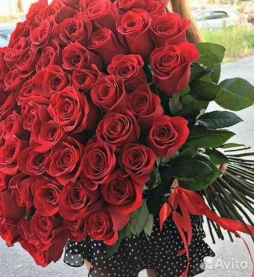Букет роз 101 роза 51 роза