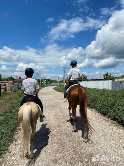 Конные прогулки