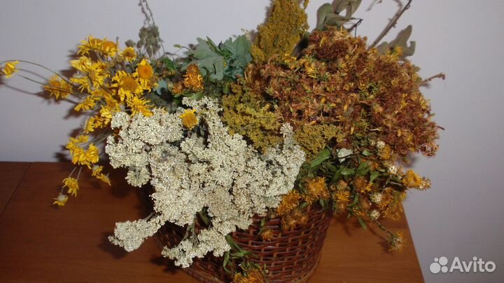 Лекарственные травы