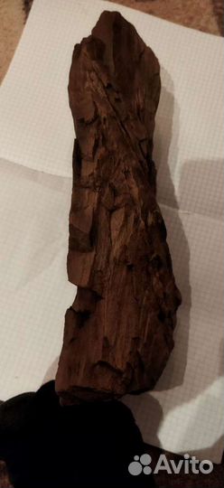 Старинное Окаменелое дерево