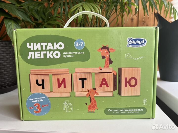 Умница, шорты, лягушка