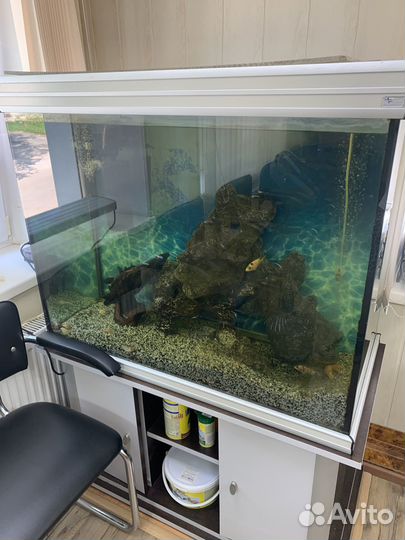 Обслуживание аквариумов