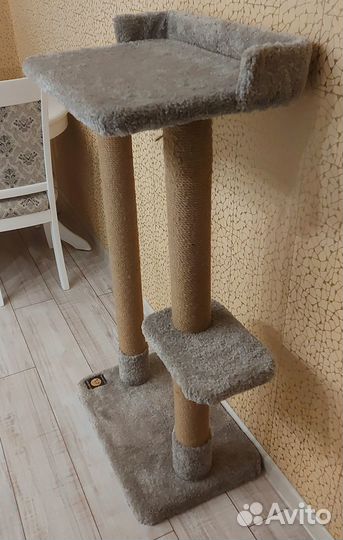 Когтеточка