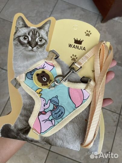 Шлейка для кошки, маленькой собачки