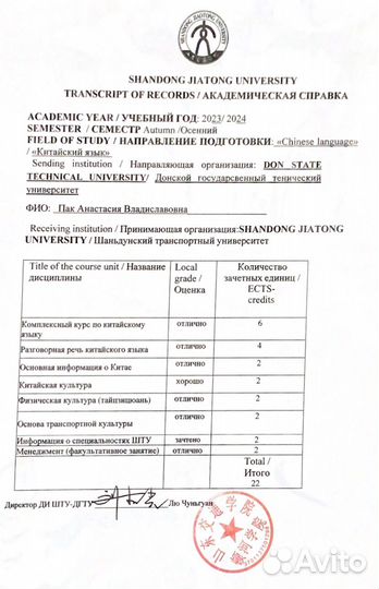 Репетитор по китайскому и Английскому