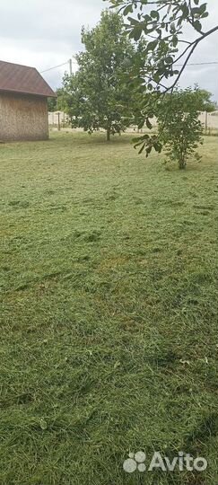 Покос травы