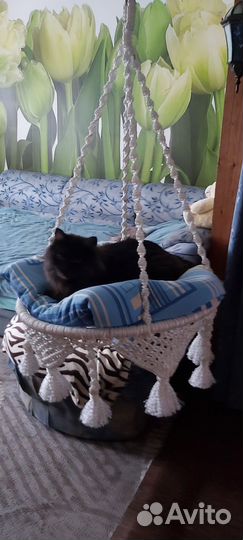 Качели для кота