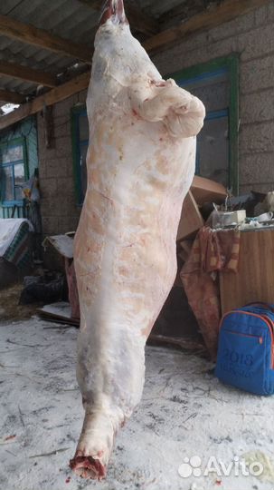Баранина