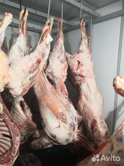 Мясо баранина халяль