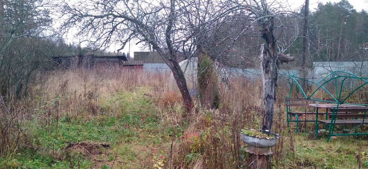 Дом 48 м² на участке 13 сот.