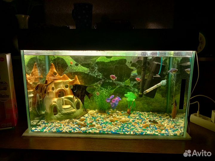Аквариум с рыбками