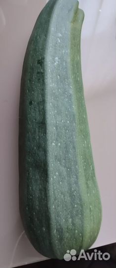 Кабачки домашние