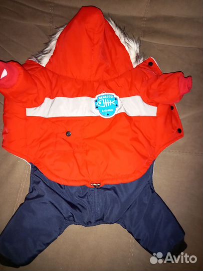 Одежда для средних собак зимняя