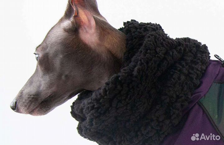 Комбинезон на левретку, зима