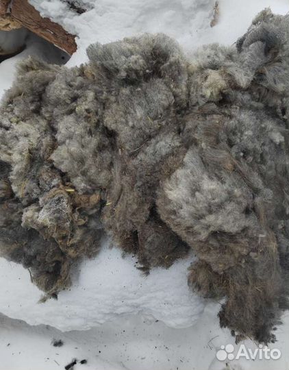 Шерсть овечья