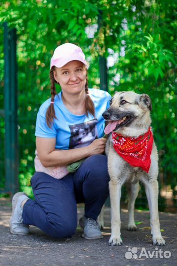 Собака добрая и милая Валя