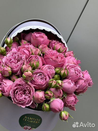 Пионовидная кустовая роза