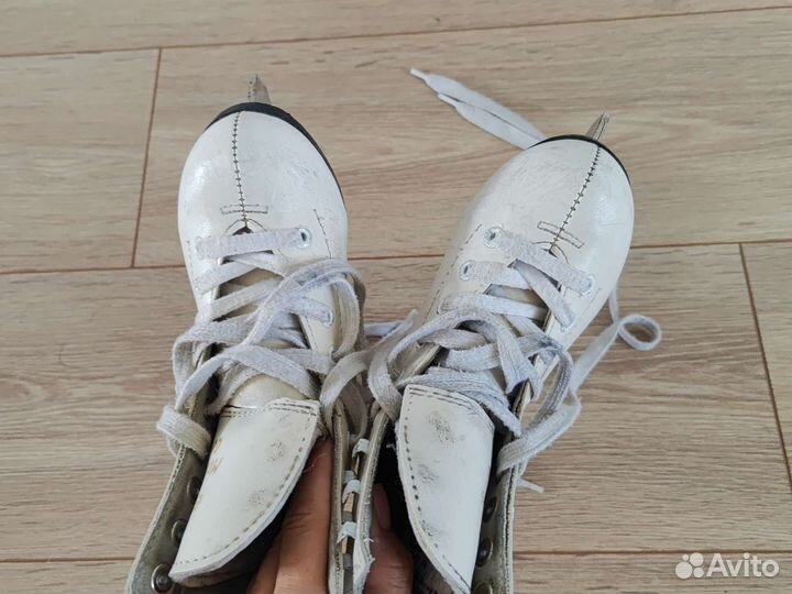 Коньки граф монтана