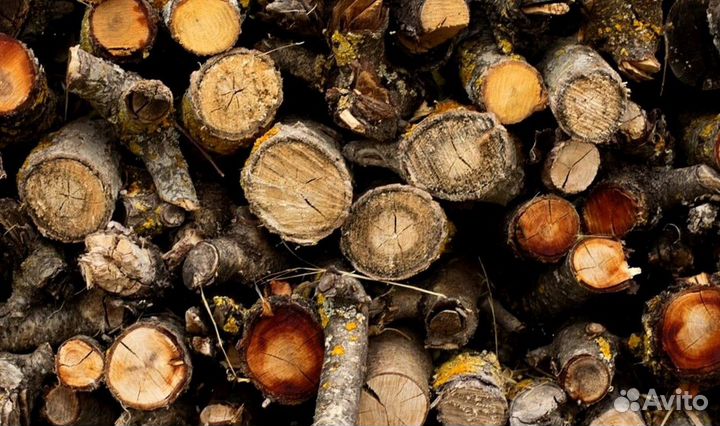 Дрова с Выборга