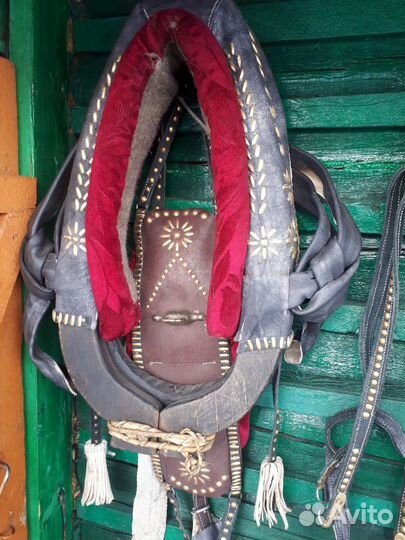 Сбруя для лошади