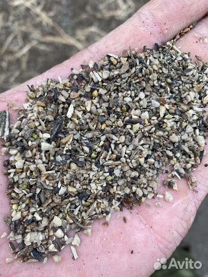 Отходы сепорации подсолнечника маслозавод