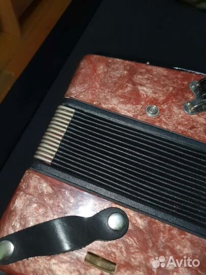 Гармонь чайка