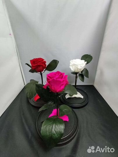 Роза в колбе оптом