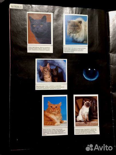 Журнал для наклеек 