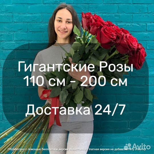 Высокие розы букет цветов 140 см, 150 см, 160 см